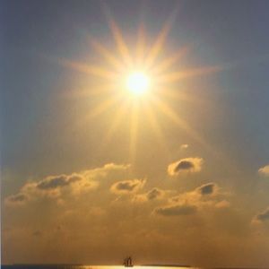 Meet your Posher, Loretta